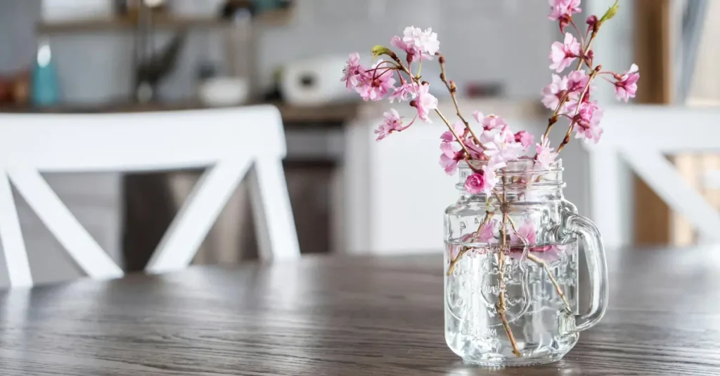 
glass mason jar mug with pink cherry blossom stems on dark wood kitchen table with white chairs in background