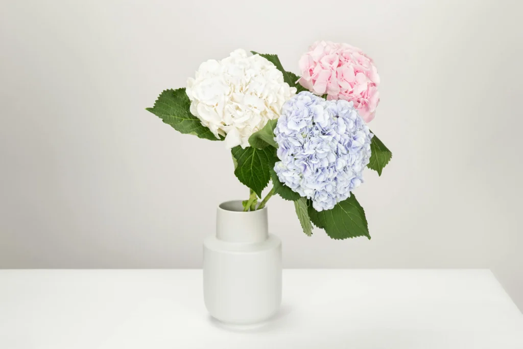 white pink and blue hydrangeas in ceramic vase for dessert table centerpiece ideas