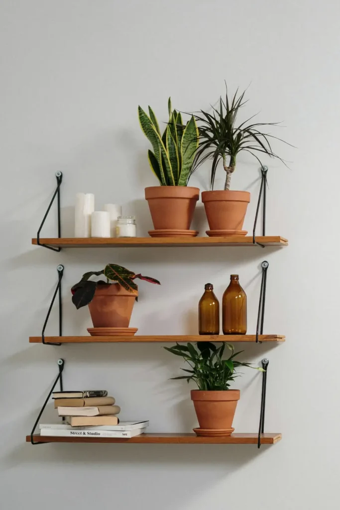 Wall mounted wooden shelves with terracotta pots, green plants and candles against a white wall above a neutral cushioned sofa.