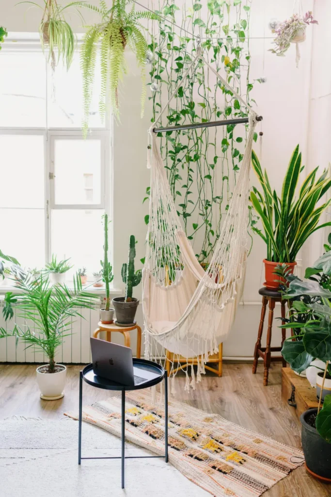 bright studio apartment corner filled with trailing vine plants hanging ferns snake plant and cactus around a macrame hammock chair