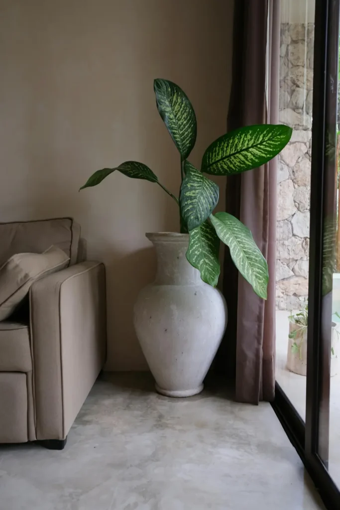 A large green leafy plant in a white stone planter sitting in the corner of a minimal apartment living room next to a sofa and glass door.
